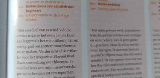 recensie schrijfcursus